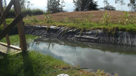 Mini lac artificiel, Le Moncel-Kenskoff, Mapou-Haiti, tous droits reservés